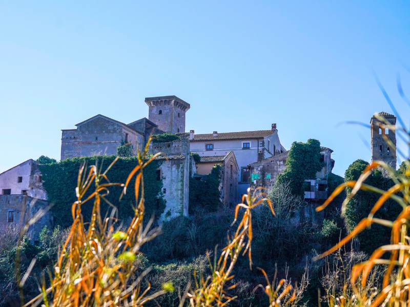 Faleria borgo