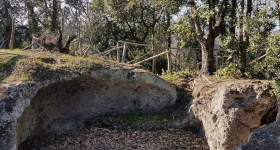 narce-calcata