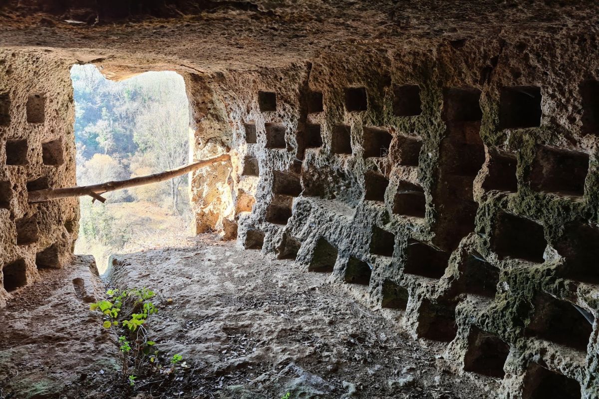 Palazzolo Vasanello