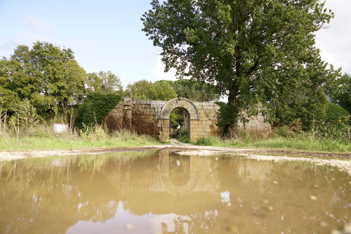Falerii Novi in bici