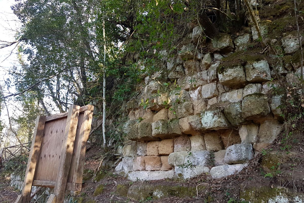 Escursione mura di Narce