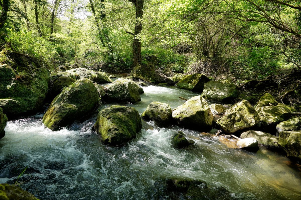 Fiume Treja sentiero del parco