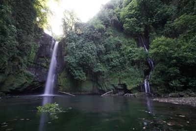Sentiero per cascate di Nepi