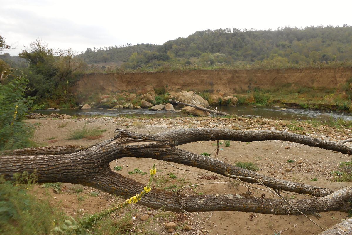 La riva dei fossili
