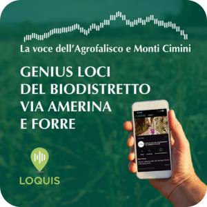 pulsante-audioguida-genius-loci-biodistretto-via-amerina.jpg