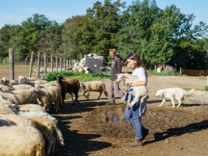 Trekking sulla Via Amerina con visita e degustazione nell'azienda biologica Sansoni