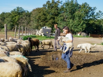 Trekking sulla Via Amerina con visita e degustazione nell'azienda biologica Sansoni