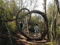 Opera Bosco: l'arte che contestualizza la natura