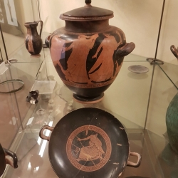 Ceramiche attiche nel Museo Archeologico dell'Agro Falisco