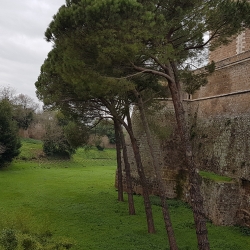 Fossato del Forte Sangallo