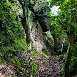 Sentiero ne Monumento Naturale WWF Pian Sant'Angelo