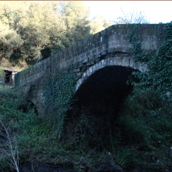 Ponte Romano nel Monumento Naturale delle Forre