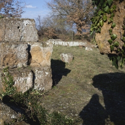 Resti di Faleri Novi