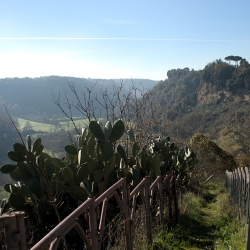 Inizio scalinata della Madonna delle Piagge