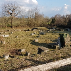 Scavi di Faleri Novi