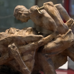 Carriolante di Guido Calori