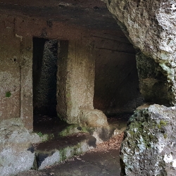 Tomba falisca