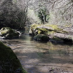 Torrente la Mola